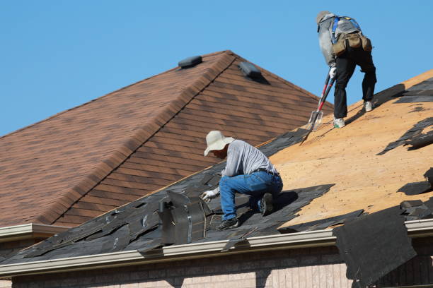 Roof Moss and Algae Removal in Dash Point, WA